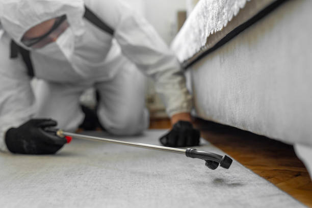 Professional Bed Bug Control technician working in Brooklyn Park, MD