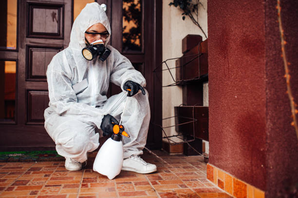 Reliable Bed Bug Control contractor in Brooklyn Park, MD by Nex Pest Control
