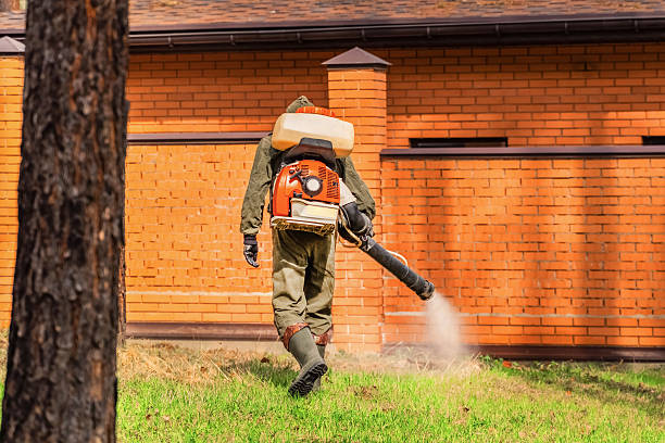 Top rated local Bed Bug Control specialists in Brooklyn Park, MD